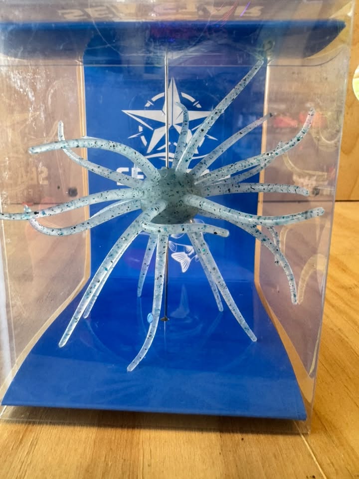 Sea Star Star Burst Urchin Bait