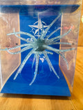 Sea Star Star Burst Urchin Bait