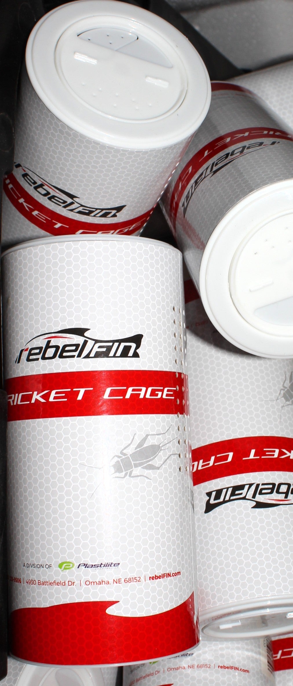 Shaker Top Paper Cricket Tube