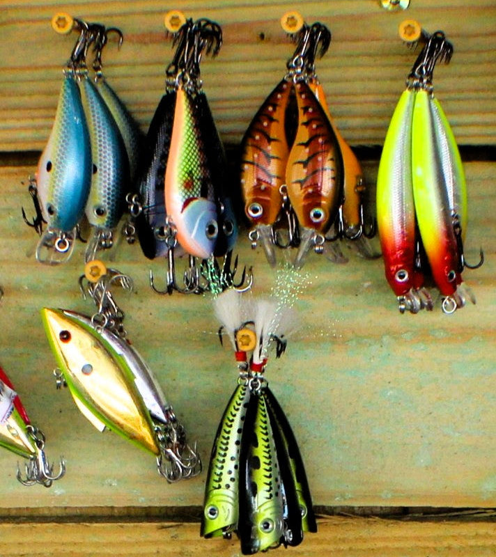 Lures & Jigs