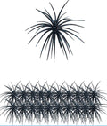 Urchin Baits for Bass Fishing