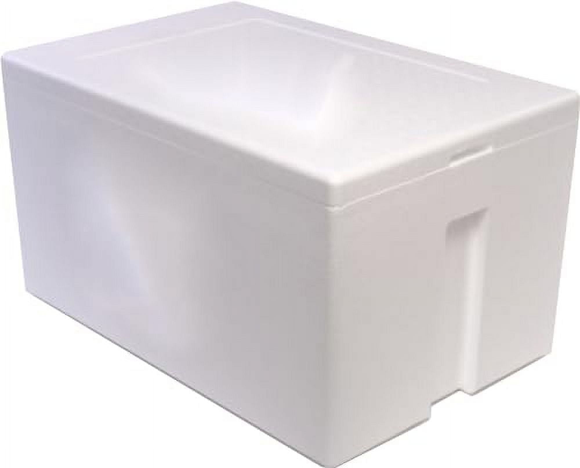 Small Foam Ice Chest
