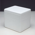 Small Foam Ice Chest